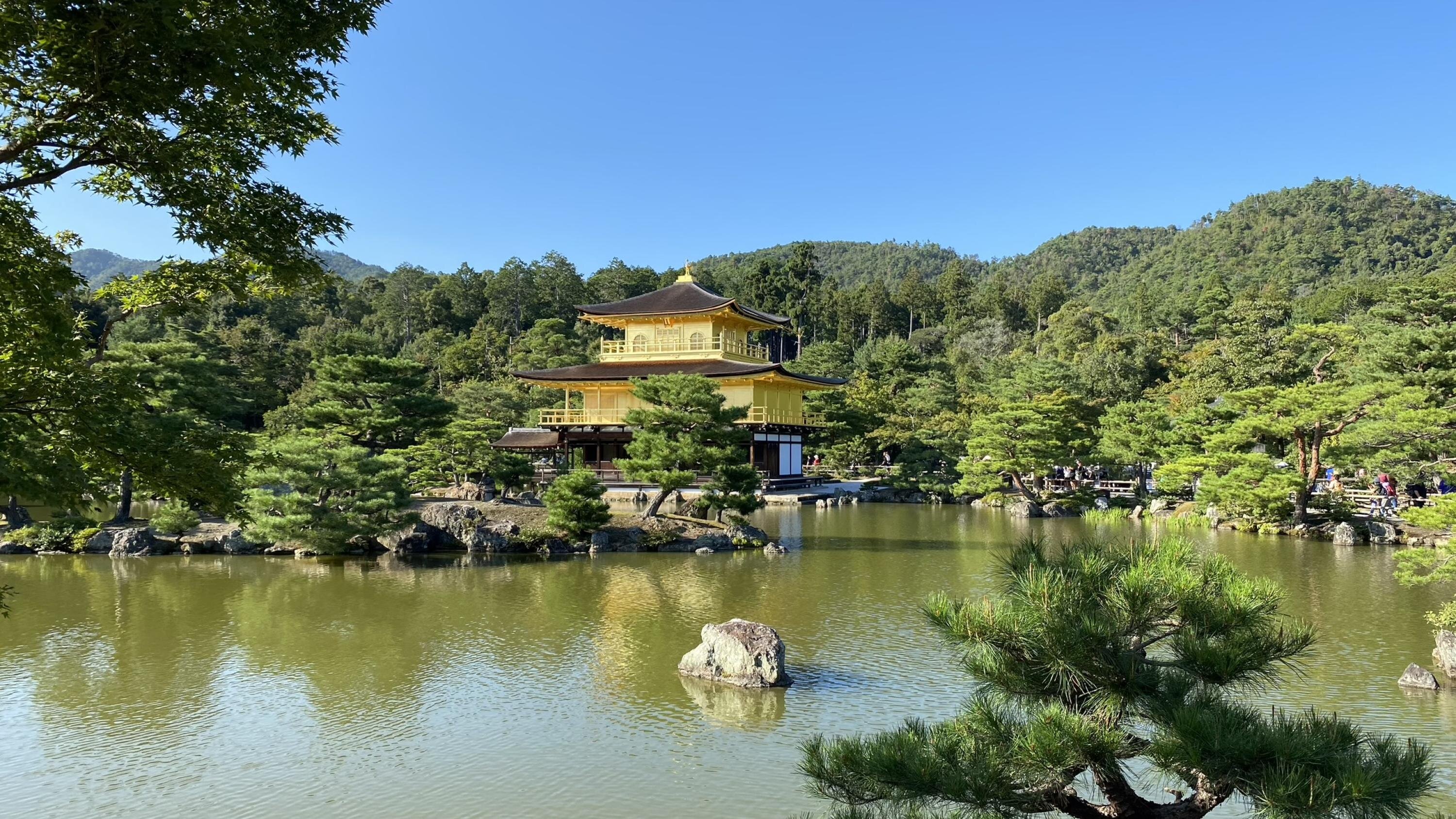 Алексей Прошин обложка