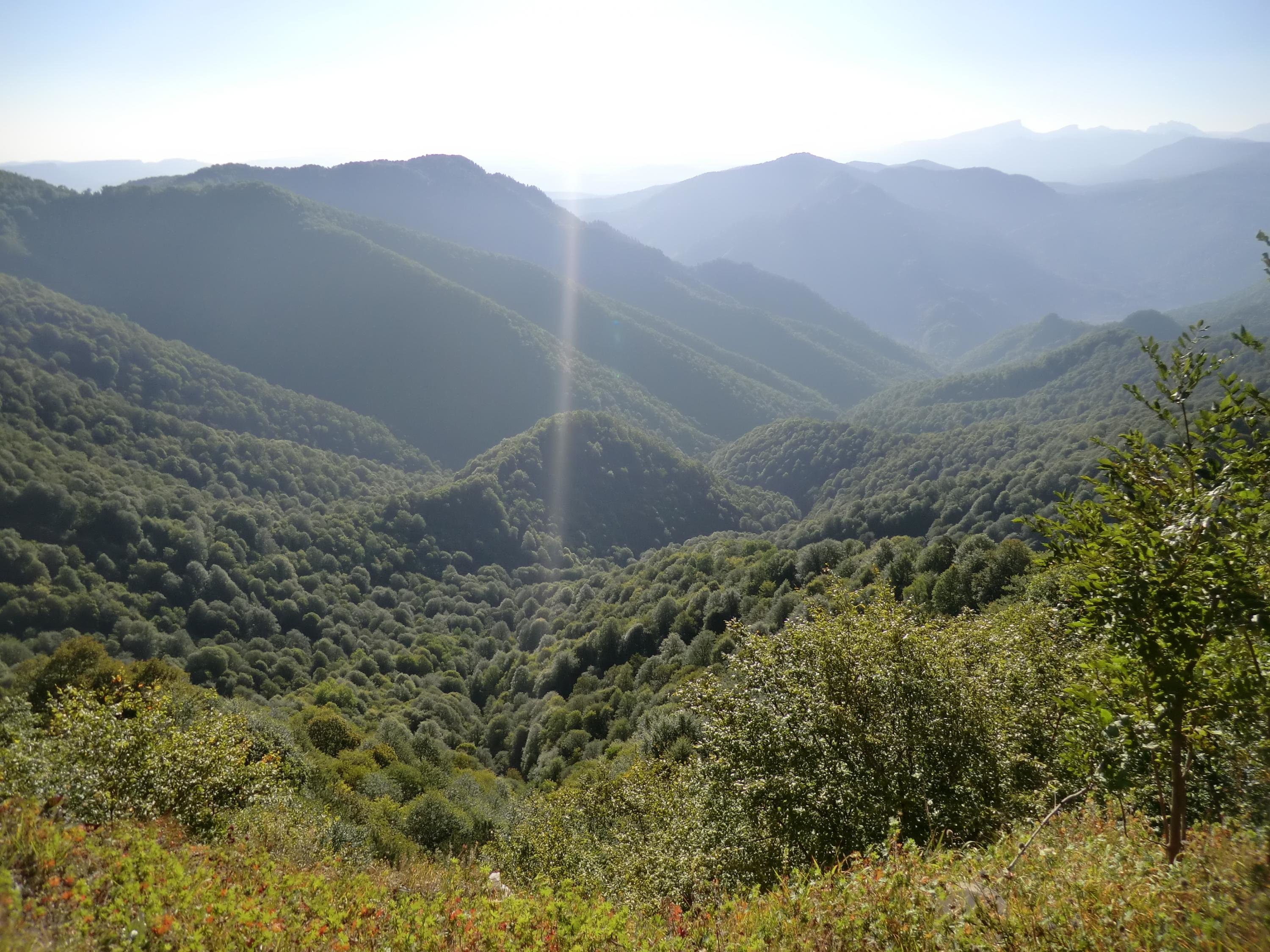 Виктор Смирнов обложка